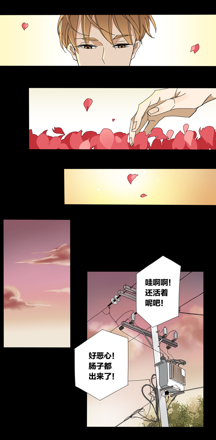 夏家灵异录韩漫全集-107猫④无删减无遮挡章节图片 