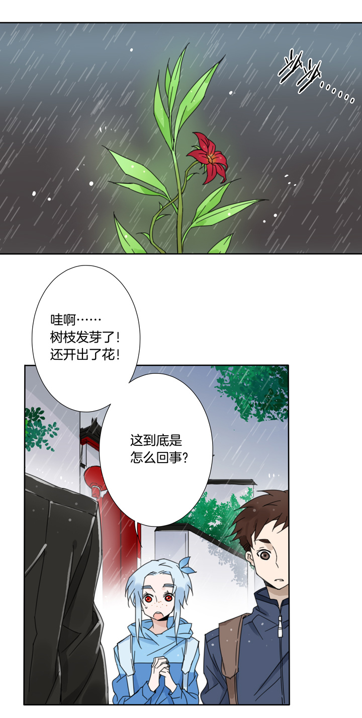 夏家灵异录韩漫全集-64 山神⑱无删减无遮挡章节图片 