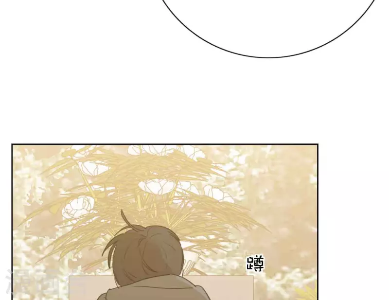 向上而生韩漫全集-第81话 我的努力被验证无删减无遮挡章节图片 