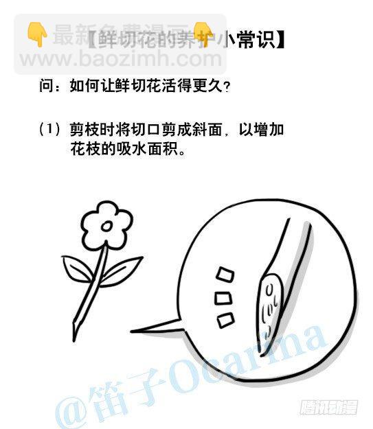 小绿和小蓝韩漫全集-137 切花无删减无遮挡章节图片 