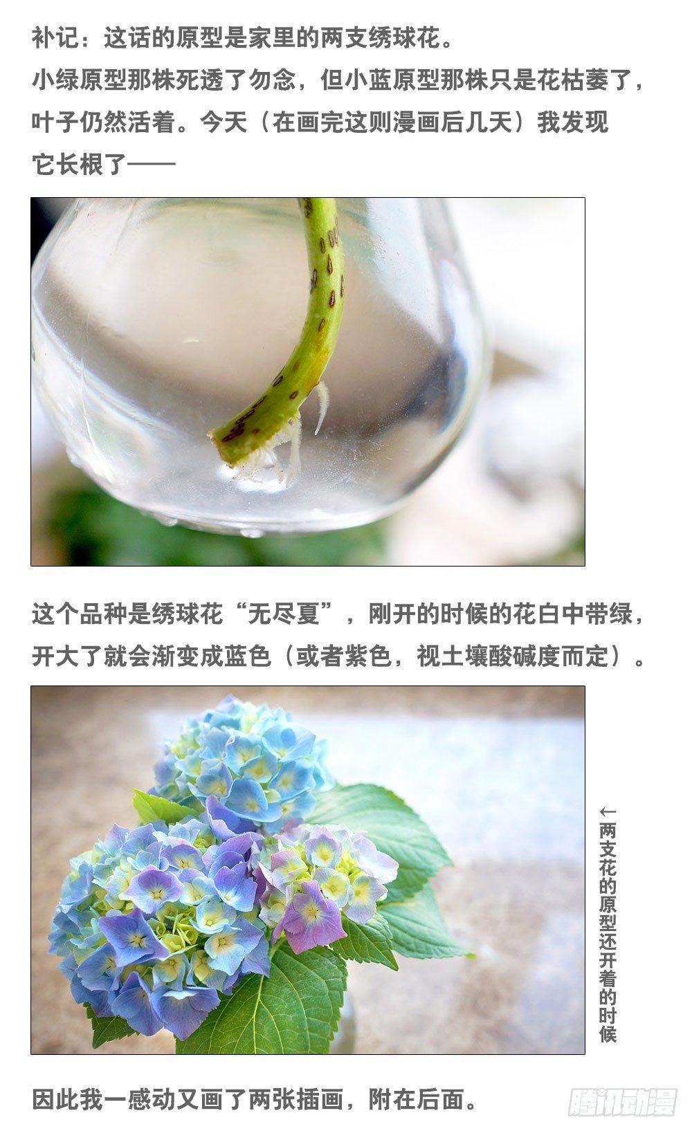 小绿和小蓝韩漫全集-137 切花无删减无遮挡章节图片 