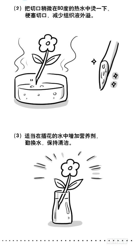 小绿和小蓝韩漫全集-137 切花无删减无遮挡章节图片 