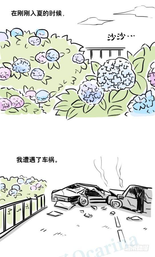 小绿和小蓝韩漫全集-181 无尽之夏无删减无遮挡章节图片 