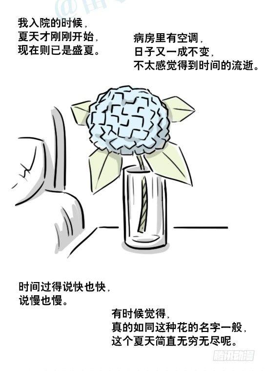 小绿和小蓝韩漫全集-181 无尽之夏无删减无遮挡章节图片 