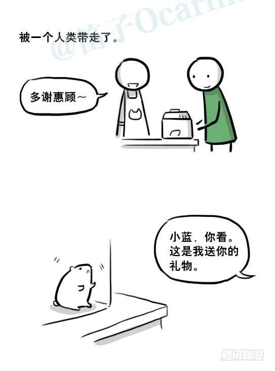 小绿和小蓝韩漫全集-216 纪念物（上）无删减无遮挡章节图片 