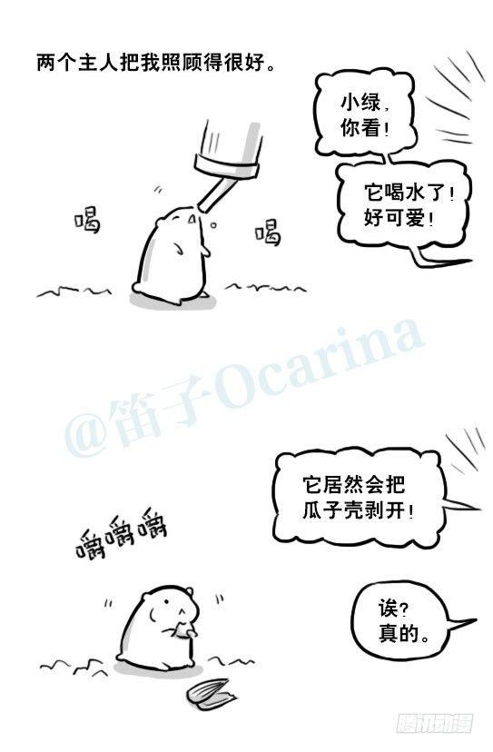 小绿和小蓝韩漫全集-216 纪念物（上）无删减无遮挡章节图片 