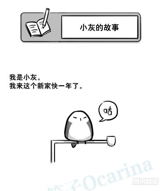 小绿和小蓝韩漫全集-216 纪念物（上）无删减无遮挡章节图片 