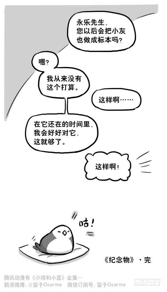 小绿和小蓝韩漫全集-217 纪念物（下）无删减无遮挡章节图片 