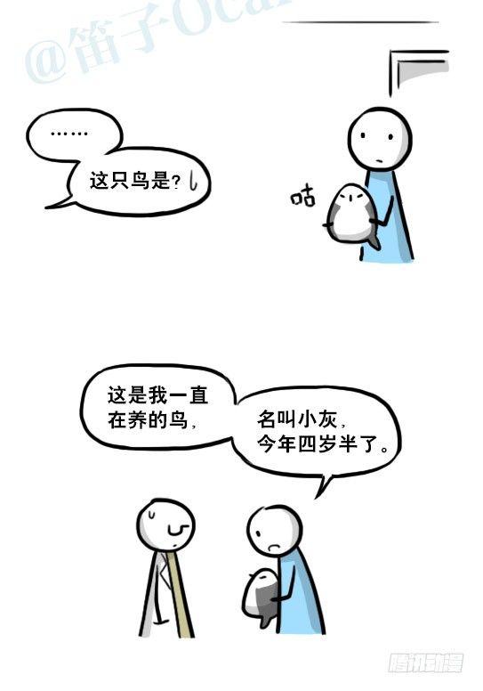 小绿和小蓝韩漫全集-217 纪念物（下）无删减无遮挡章节图片 