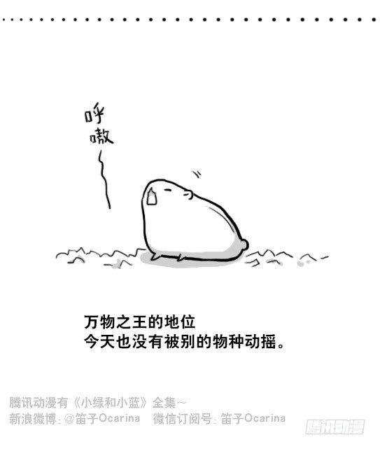 小绿和小蓝韩漫全集-219 机器人27-普通人之路无删减无遮挡章节图片 