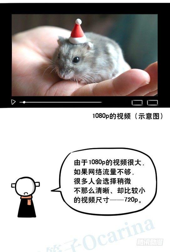 小绿和小蓝韩漫全集-241 分辨率小科普无删减无遮挡章节图片 