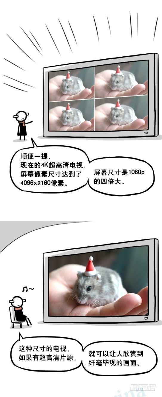 小绿和小蓝韩漫全集-241 分辨率小科普无删减无遮挡章节图片 
