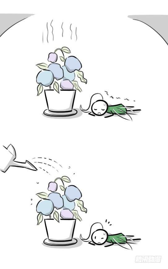 小绿和小蓝韩漫全集-269 为你而开的花无删减无遮挡章节图片 