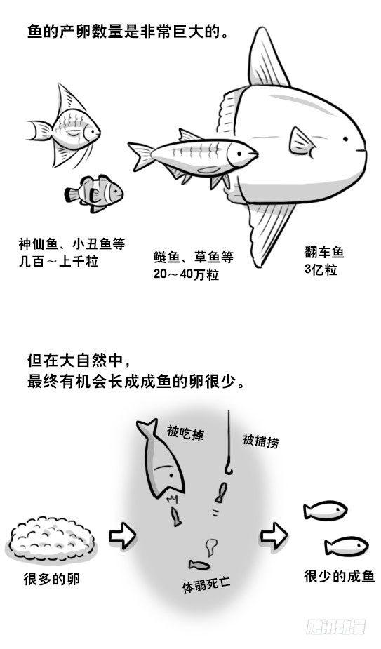 小绿和小蓝韩漫全集-279 鱼无删减无遮挡章节图片 