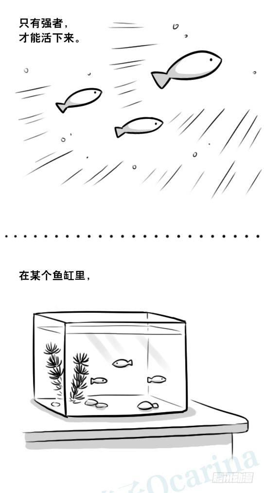 小绿和小蓝韩漫全集-279 鱼无删减无遮挡章节图片 