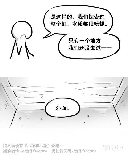 小绿和小蓝韩漫全集-279 鱼无删减无遮挡章节图片 