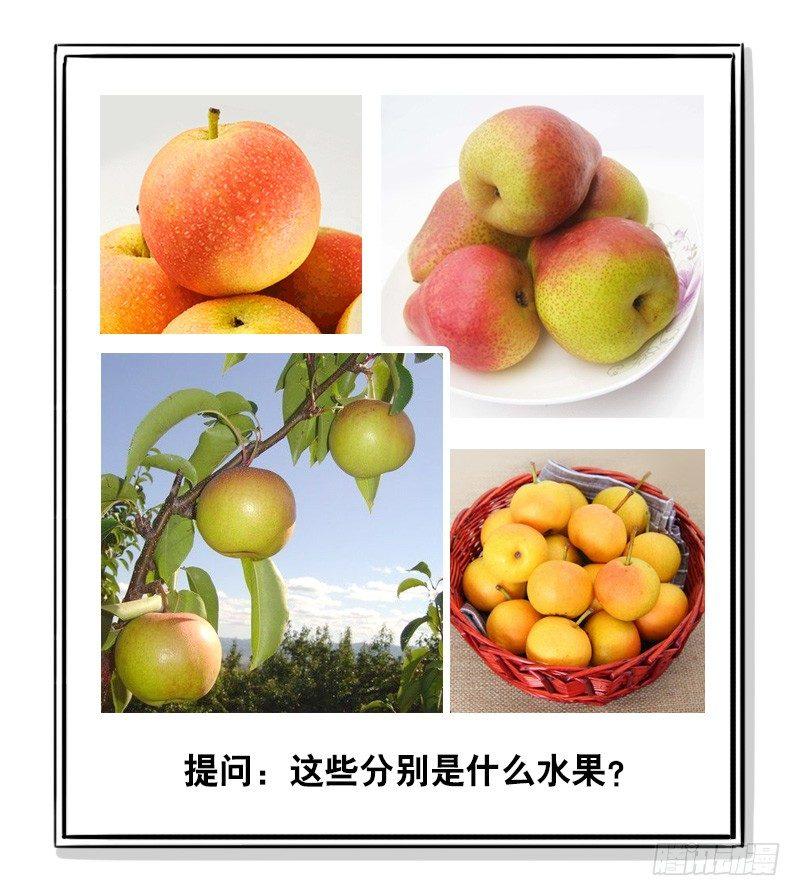 小绿和小蓝韩漫全集-294 动画吐槽05无删减无遮挡章节图片 