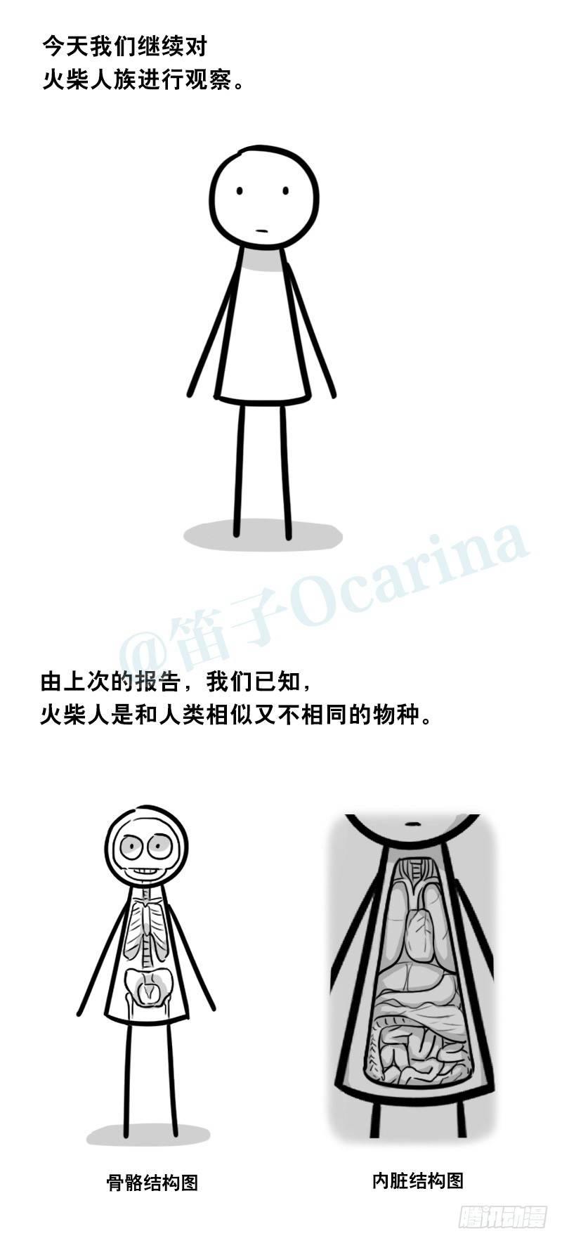 小绿和小蓝韩漫全集-324 火柴人观察报告2无删减无遮挡章节图片 