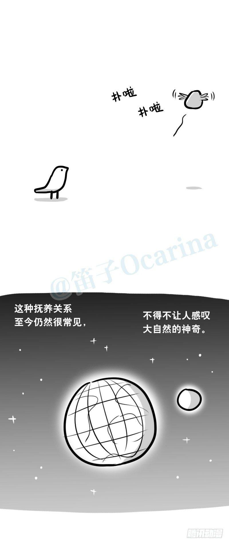 小绿和小蓝韩漫全集-335 杜鹃无删减无遮挡章节图片 