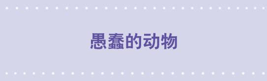 小绿和小蓝韩漫全集-54 愚蠢的动物无删减无遮挡章节图片 