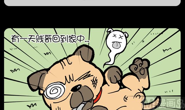 小明日记韩漫全集-第1070话 旺财之死无删减无遮挡章节图片 