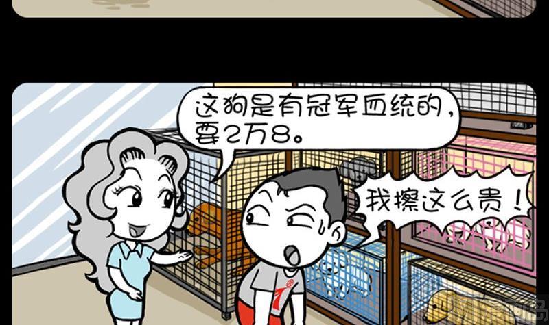 小明日记韩漫全集-第21话 待价而沽无删减无遮挡章节图片 