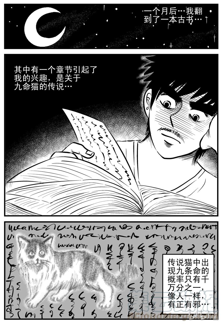小智怪谈韩漫全集-163 猫无删减无遮挡章节图片 