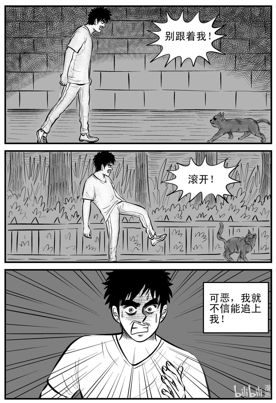 小智怪谈韩漫全集-163 猫无删减无遮挡章节图片 