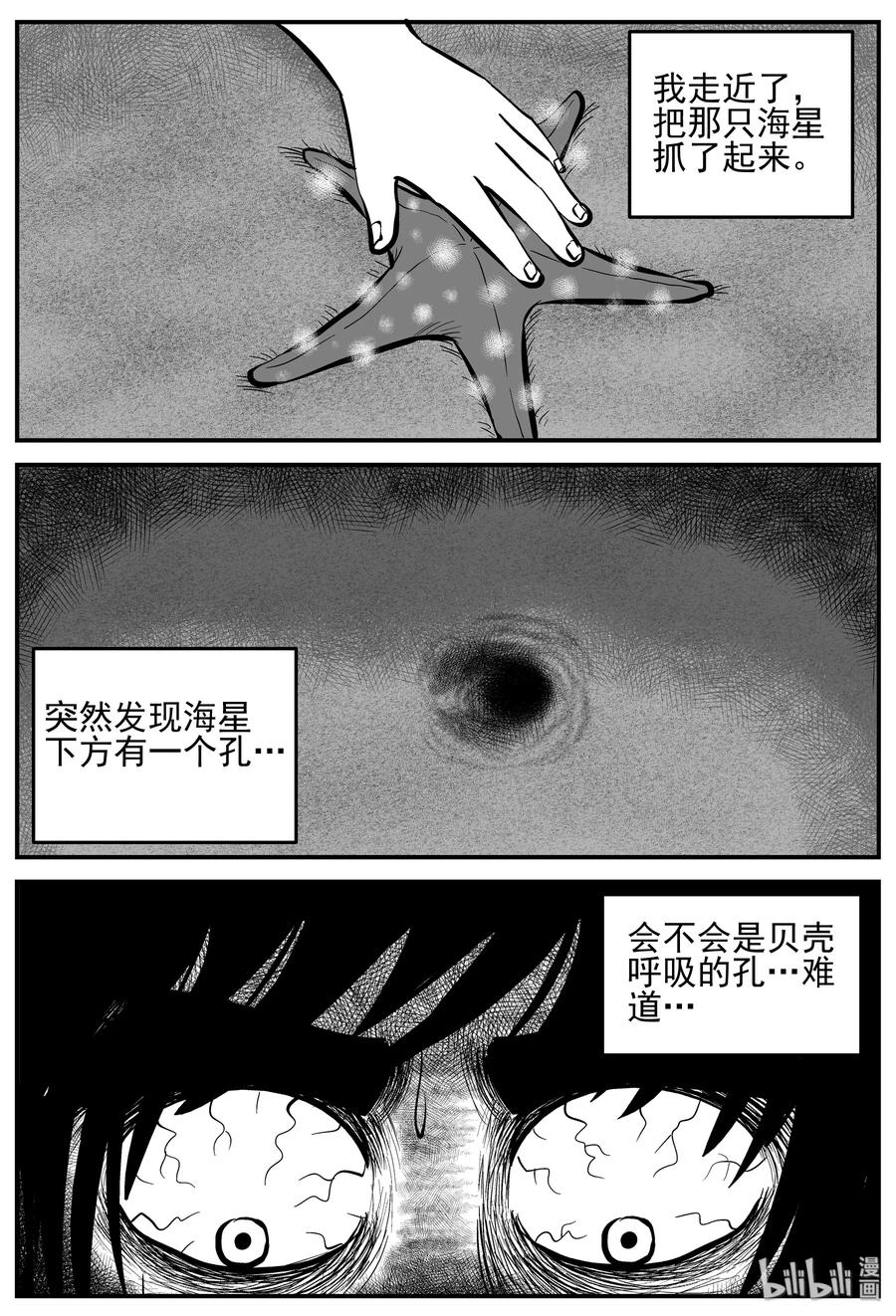 小智怪谈韩漫全集-229 海螺湾奇谈（4）无删减无遮挡章节图片 