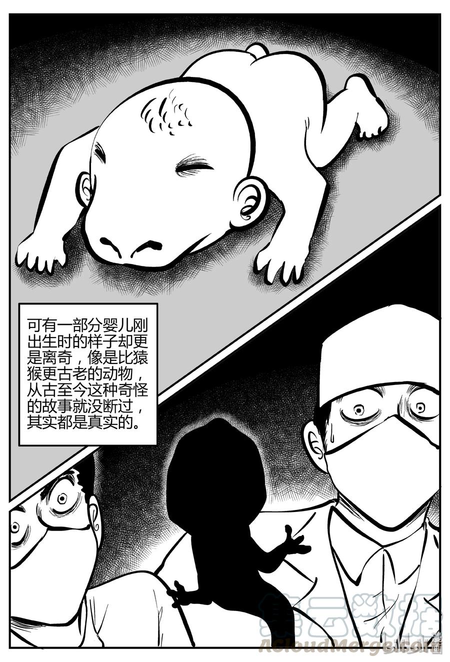 小智怪谈韩漫全集-277 非人族（2）无删减无遮挡章节图片 