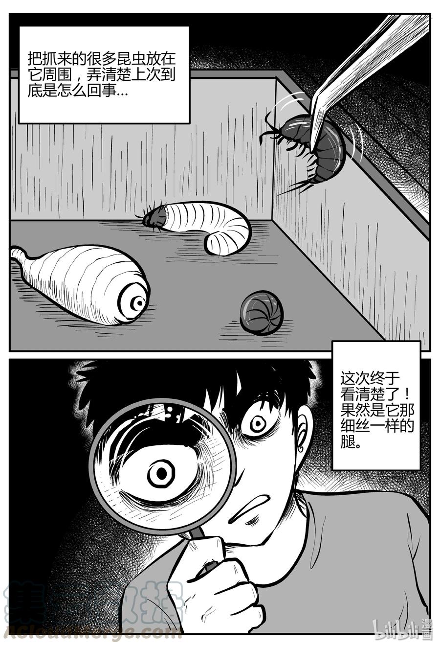 小智怪谈韩漫全集-307 寄生虫（5）无删减无遮挡章节图片 