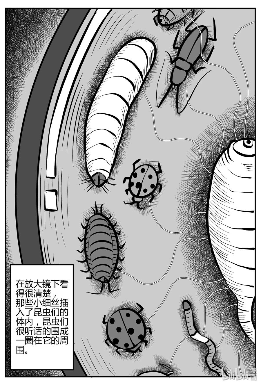 小智怪谈韩漫全集-307 寄生虫（5）无删减无遮挡章节图片 