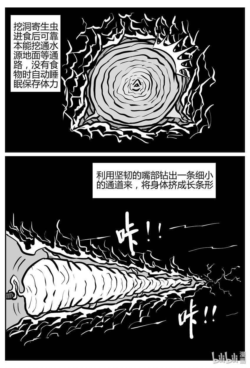 小智怪谈韩漫全集-038 它：源（6）无删减无遮挡章节图片 
