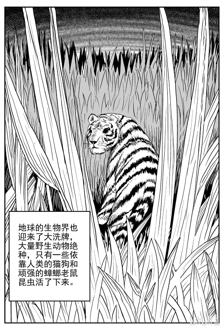 小智怪谈韩漫全集-611 22世纪杀人网络无删减无遮挡章节图片 