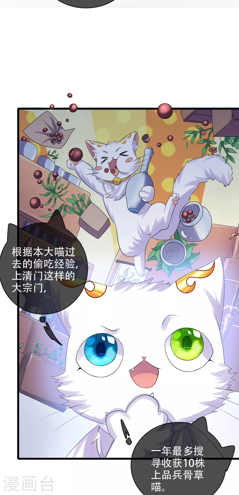 谐帝为尊韩漫全集-第98话 跟我赌？宁配么？无删减无遮挡章节图片 