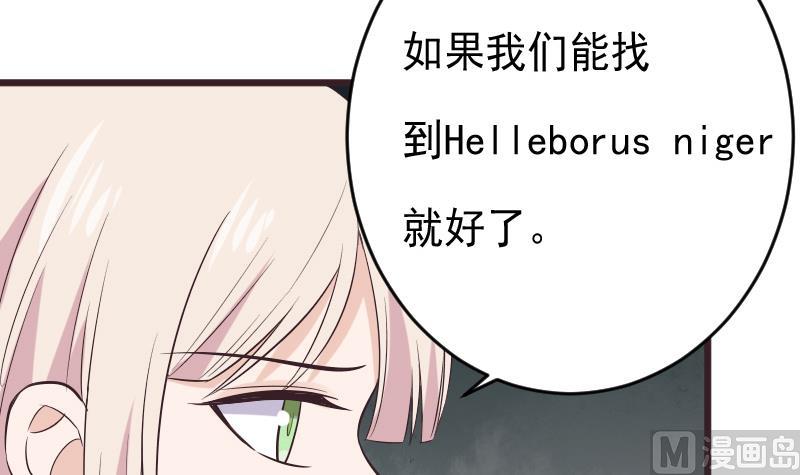 血族男神别咬我韩漫全集-第276话 圣诞玫瑰无删减无遮挡章节图片 