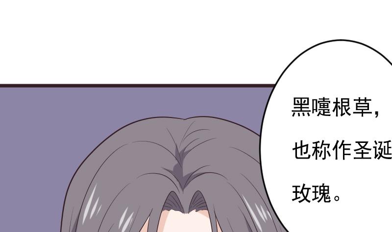 血族男神别咬我韩漫全集-第276话 圣诞玫瑰无删减无遮挡章节图片 