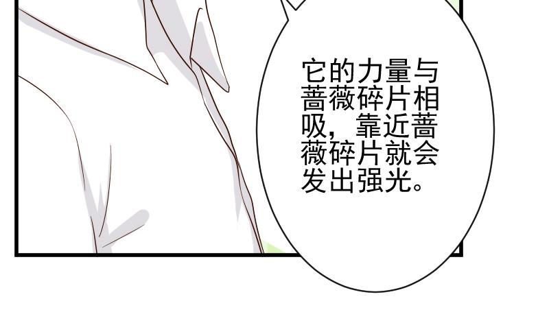 血族男神别咬我韩漫全集-第83话 把蔷薇碎片带回来无删减无遮挡章节图片 