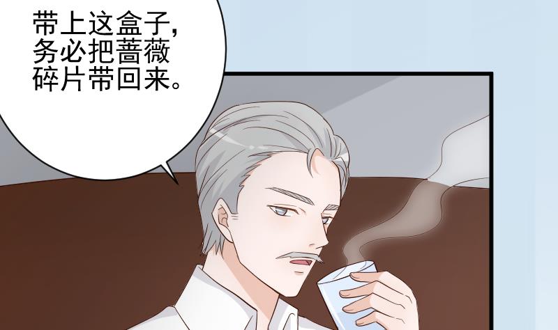 血族男神别咬我韩漫全集-第83话 把蔷薇碎片带回来无删减无遮挡章节图片 