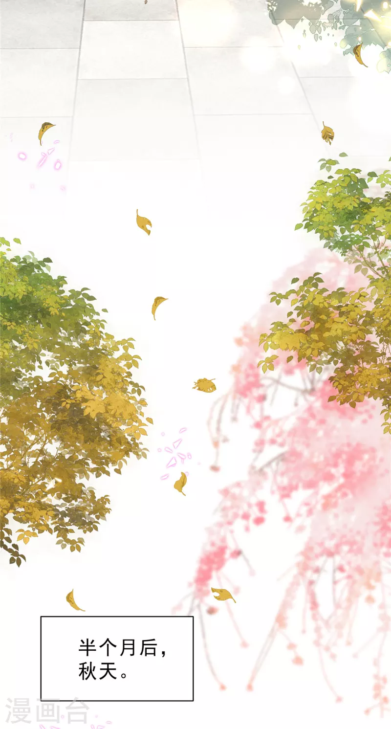 星光璀璨：捡个boss做老公韩漫全集-第50话 唯有你让我放心不下无删减无遮挡章节图片 