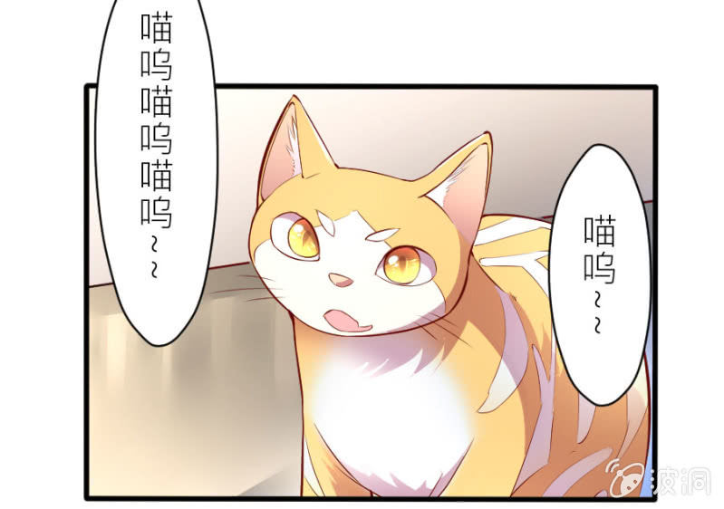 星恋之霸王条约韩漫全集-第35话 早晚是穆家的人无删减无遮挡章节图片 