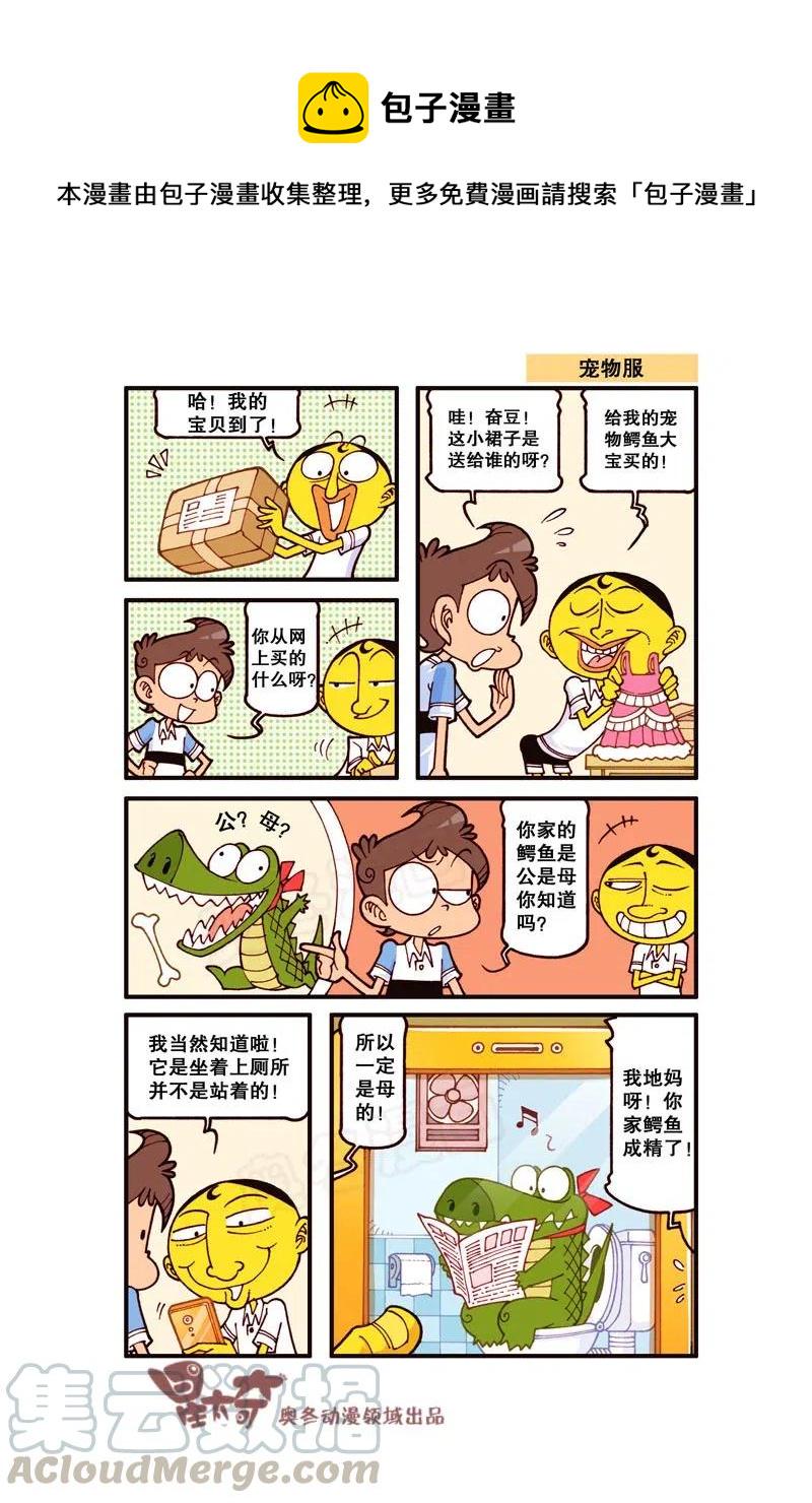 星太奇韩漫全集-星之275 太像奋豆了……无删减无遮挡章节图片 