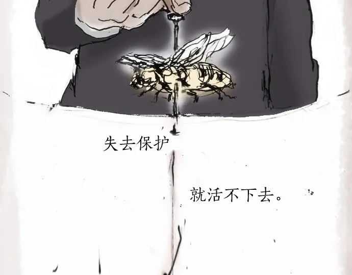 星之花韩漫全集-第12话 已经决定无删减无遮挡章节图片 