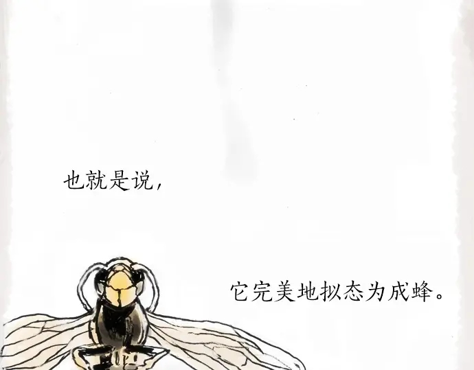 星之花韩漫全集-第12话 已经决定无删减无遮挡章节图片 