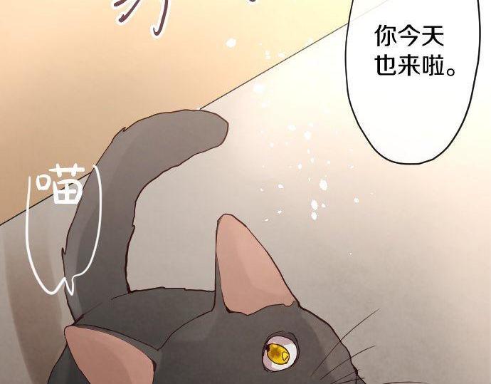 星之花韩漫全集-第136话 真正的孤独无删减无遮挡章节图片 