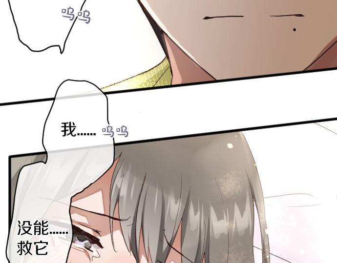 星之花韩漫全集-第137话 修学旅行和支持无删减无遮挡章节图片 