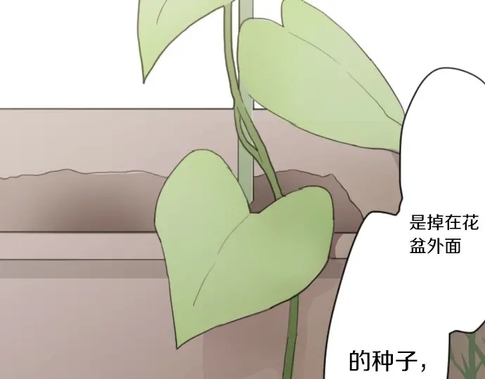 星之花韩漫全集-第38话 捂住双耳才看得到无删减无遮挡章节图片 