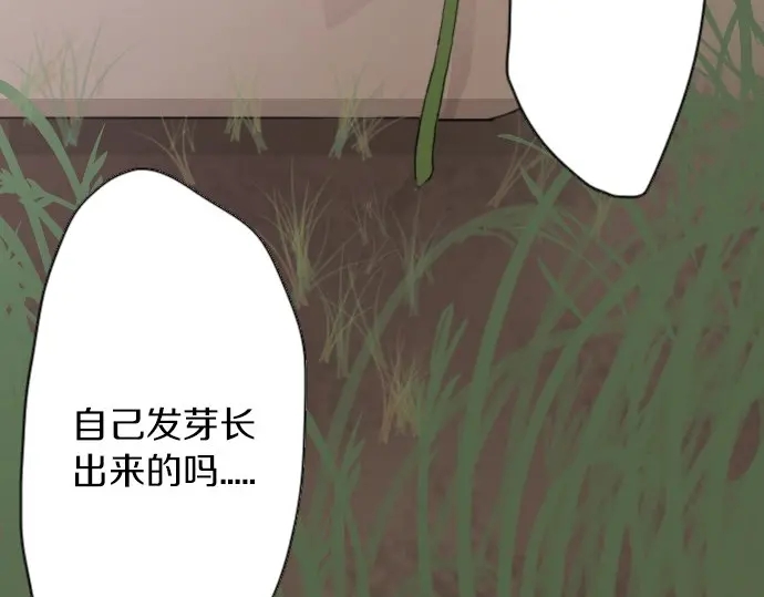星之花韩漫全集-第38话 捂住双耳才看得到无删减无遮挡章节图片 