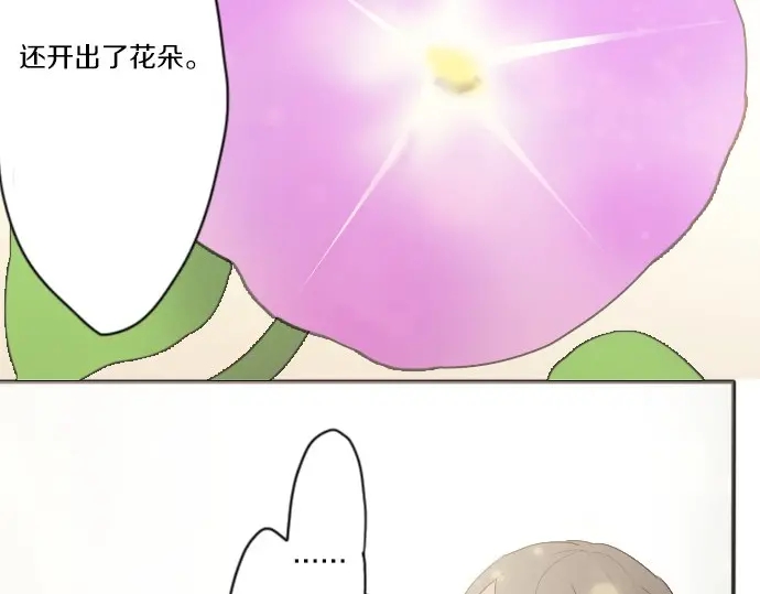 星之花韩漫全集-第38话 捂住双耳才看得到无删减无遮挡章节图片 