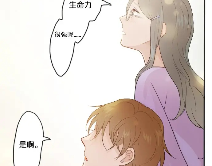 星之花韩漫全集-第38话 捂住双耳才看得到无删减无遮挡章节图片 